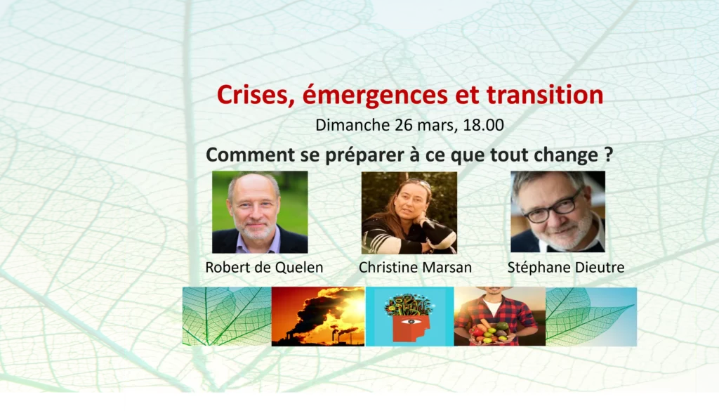 Crise, émergence et transition